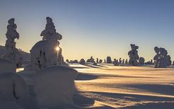 梦见下雪出太阳运势好不好