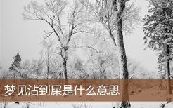 梦见沾到屎是什么意思