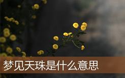 梦见天珠是什么意思