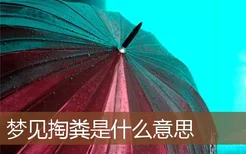 梦见掏粪是什么意思