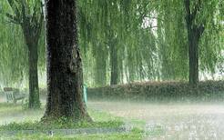 女人梦见倾盆大雨