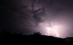 梦见雷电击中树木