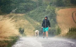 梦见瓢泼大雨预示什么是什么意思