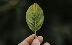 好消息！这些生肖五月过后财运暴涨