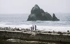 测测你该怎样去积攒更多人缘？速戳