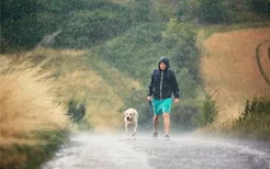 梦见在雨中奔跑