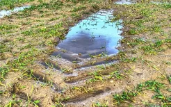 梦见水洼 小水塘