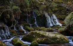 梦见泉水清澈涌出