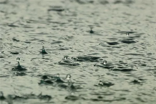 梦见梅雨是什么意思