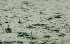 梦见梅雨