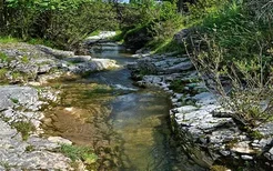 梦见山泉水