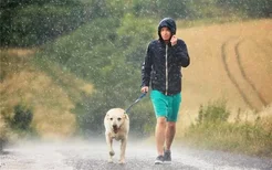 男人梦见下雨