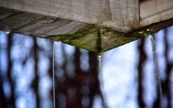 梦见屋里漏雨