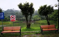 梦见雨水淋湿花草