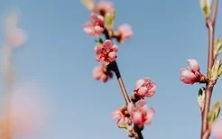 学起！各血型女增强桃花运的秘诀