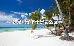 梦见鸭子下蛋是怎么回事