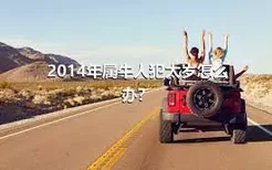 2014年属牛人犯太岁怎么办？