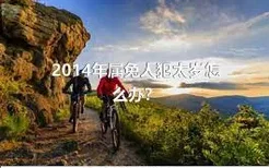 2014年属兔人犯太岁怎么办？