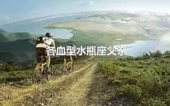 各血型水瓶座父亲