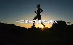 十二星座之超级好男人