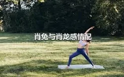 肖兔与肖龙感情配