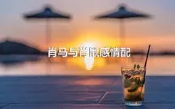 肖马与肖鼠感情配