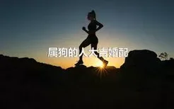 属狗的人大吉婚配