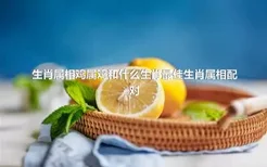 生肖属相鸡属鸡和什么生肖最佳生肖属相配对