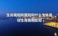 生肖属相狗属狗和什么生肖最佳生肖属相配对