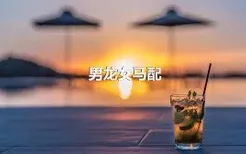 男龙女马配