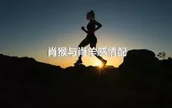 肖猴与肖羊感情配