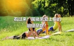 看过来！属猪男爱上你的前提是啥？