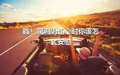 戳！属鸡男伤心时你该怎么安慰