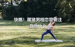 快瞧！属猪男相恋需要注意些什么