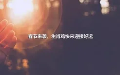 春节来袭，生肖鸡快来迎接好运