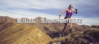 腊月过后！生肖狗开运妙招速看