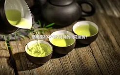 摩羯座2022年2月份的桃花运势！