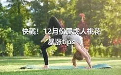 快戳！12月份属虎人桃花暴涨tips