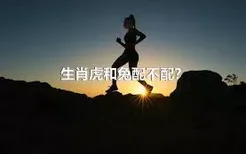 生肖虎和兔配不配？