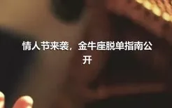 情人节来袭，金牛座脱单指南公开