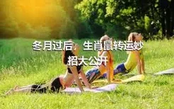 冬月过后，生肖鼠转运妙招大公开