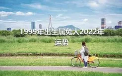 1999年出生属兔人2022年运势