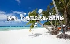 快戳！11月属龙人桃花飙升秘诀