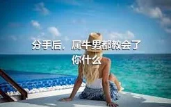 分手后，属牛男都教会了你什么