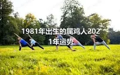 1981年出生的属鸡人2021年运势