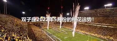 双子座2022年5月份的桃花运势！