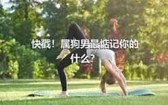 快戳！属狗男最惦记你的什么？