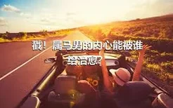 戳！属马男的内心能被谁给治愈？