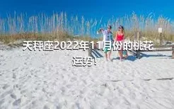 天秤座2022年11月份的桃花运势！