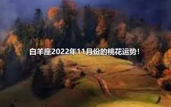 白羊座2022年11月份的桃花运势！